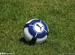 韩国娱乐圈,揭秘,位低调奢华,开云体育,开云体育官网,开云体育app,开云体育平台,KAIYUN,SPORTS,kaiyun登录入口