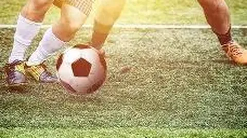 开云体育官网直播 产品 100558 d40