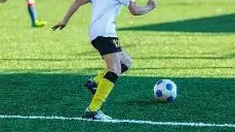 开云体育官网直播 资讯 120246 oot