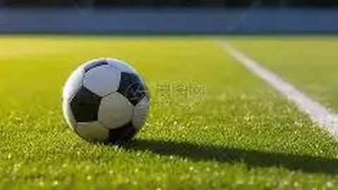 开云体育官网直播 资讯 121841 a45