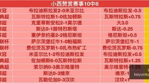 开云体育官网，开云全站，直播 134956